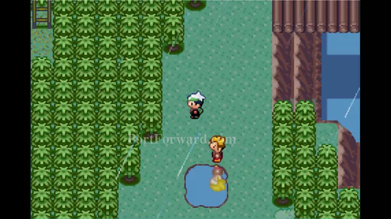 Pokemon Emerald Walkthrough - Pokemon Emerald 733