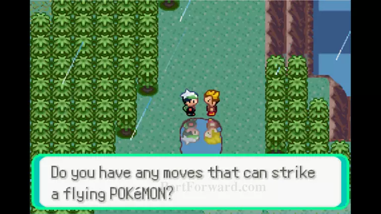 Pokemon Emerald Walkthrough - Pokemon Emerald 734