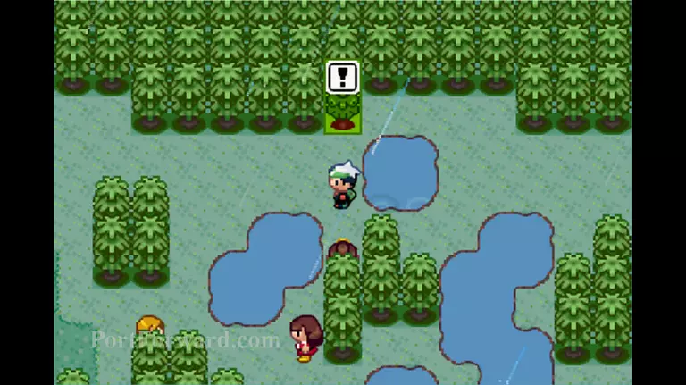 Pokemon Emerald Walkthrough - Pokemon Emerald 737