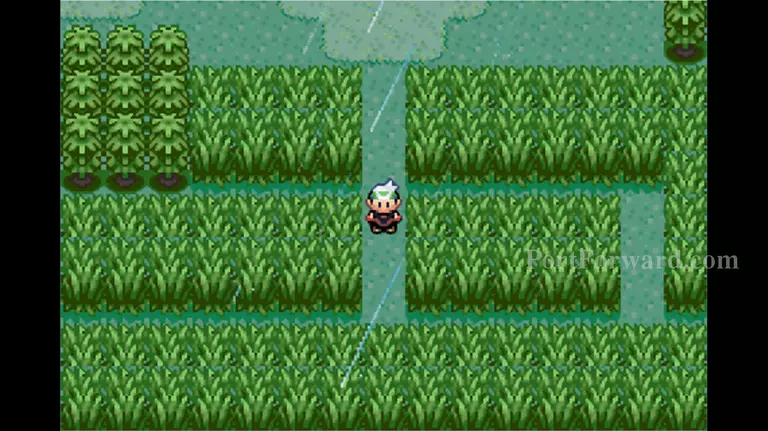 Pokemon Emerald Walkthrough - Pokemon Emerald 738