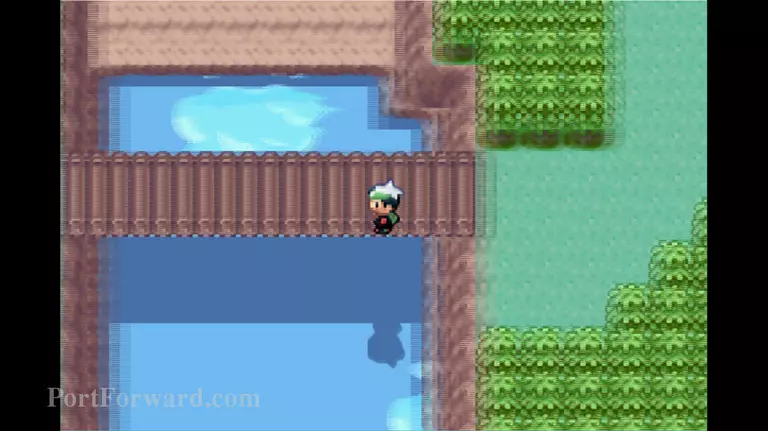 Pokemon Emerald Walkthrough - Pokemon Emerald 739