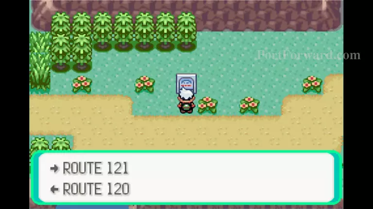 Pokemon Emerald Walkthrough - Pokemon Emerald 740