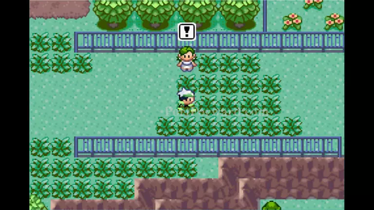 Pokemon Emerald Walkthrough - Pokemon Emerald 741