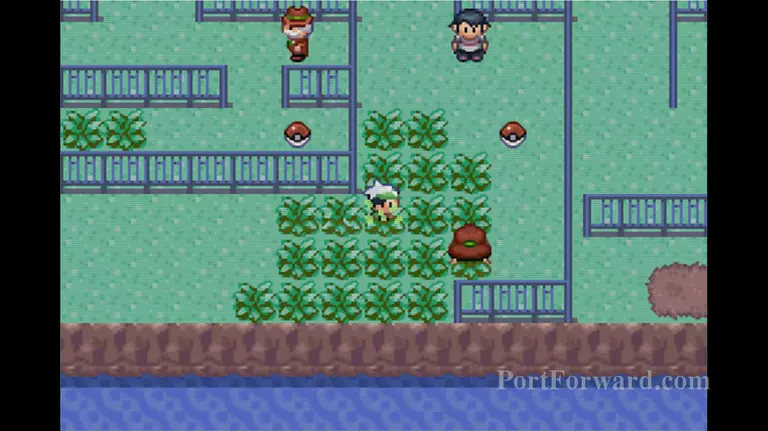 Pokemon Emerald Walkthrough - Pokemon Emerald 744