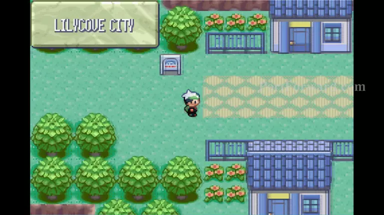 Pokemon Emerald Walkthrough - Pokemon Emerald 746