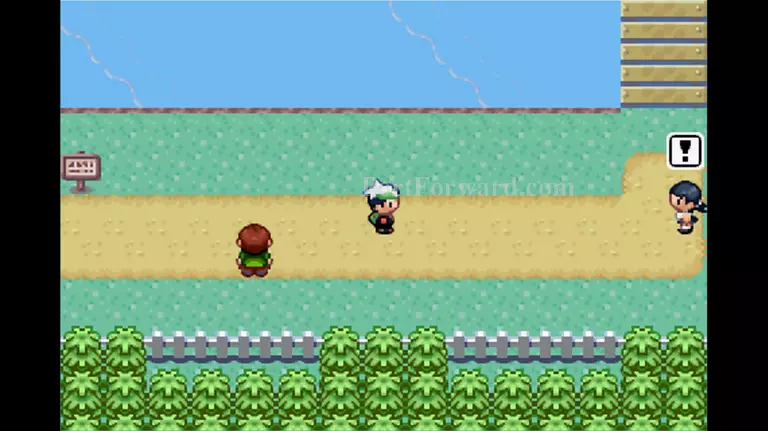 Pokemon Emerald Walkthrough - Pokemon Emerald 75