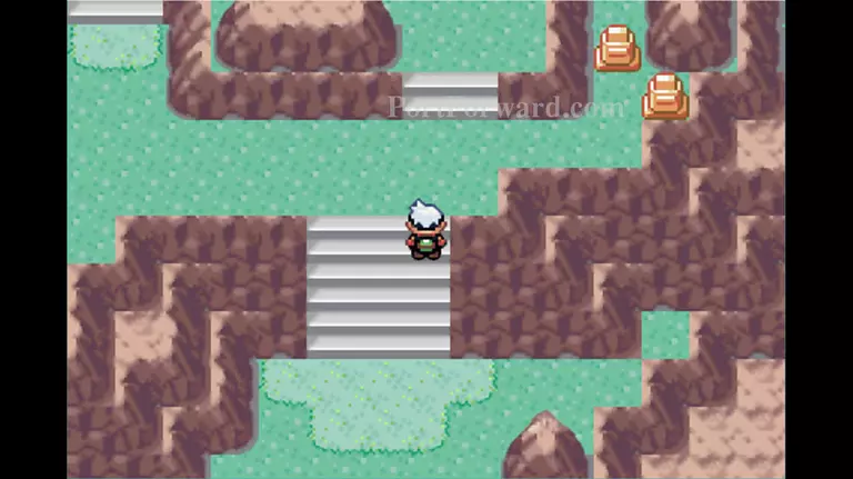 Pokemon Emerald Walkthrough - Pokemon Emerald 751