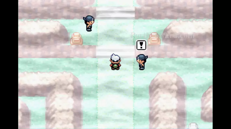 Pokemon Emerald Walkthrough - Pokemon Emerald 754