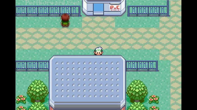 Pokemon Emerald Walkthrough - Pokemon Emerald 757