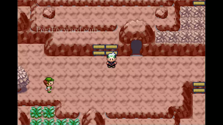 Pokemon Emerald Walkthrough - Pokemon Emerald 772