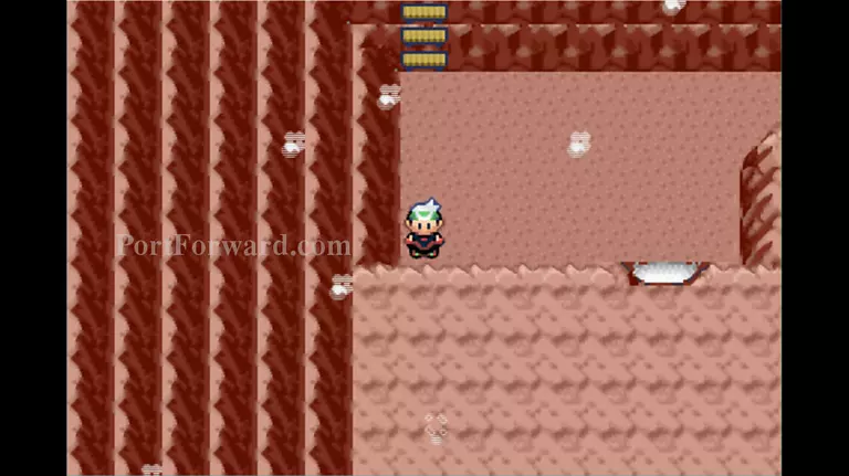 Pokemon Emerald Walkthrough - Pokemon Emerald 780