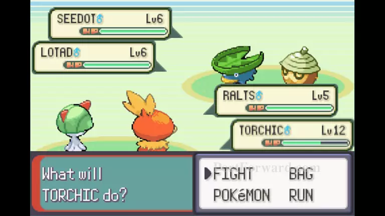 Pokemon Emerald Walkthrough - Pokemon Emerald 80