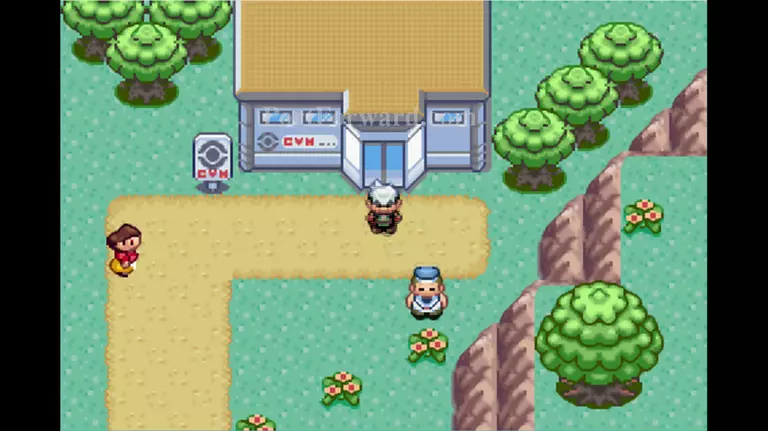 Pokemon Emerald Walkthrough - Pokemon Emerald 832