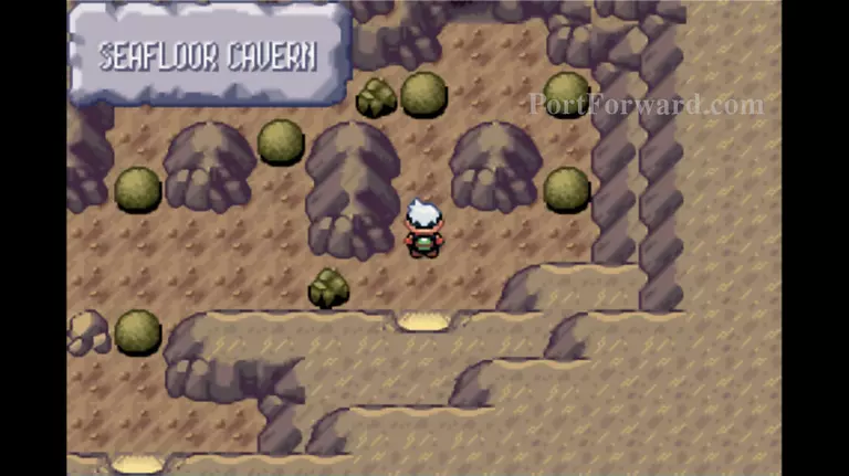 Pokemon Emerald Walkthrough - Pokemon Emerald 899