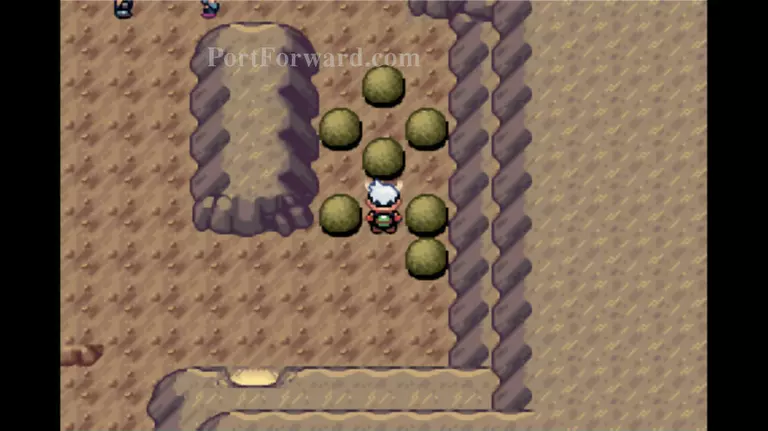 Pokemon Emerald Walkthrough - Pokemon Emerald 914