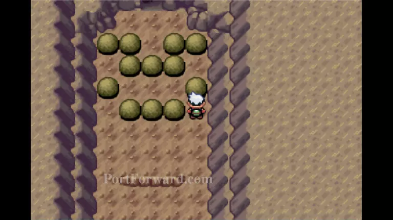 Pokemon Emerald Walkthrough - Pokemon Emerald 918