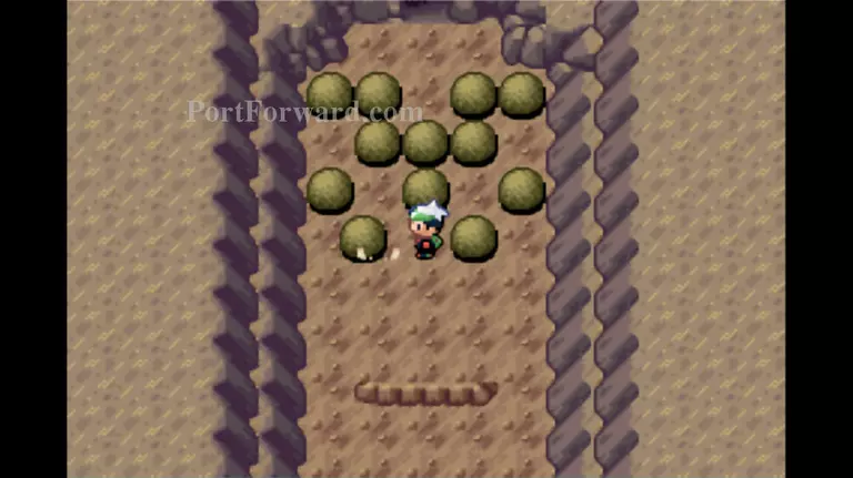 Pokemon Emerald Walkthrough - Pokemon Emerald 920