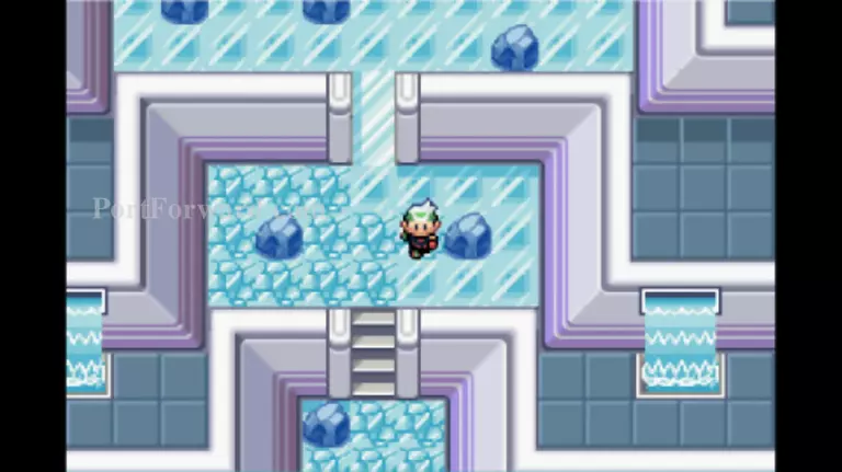 Pokemon Emerald Walkthrough - Pokemon Emerald 980