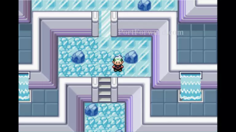 Pokemon Emerald Walkthrough - Pokemon Emerald 981